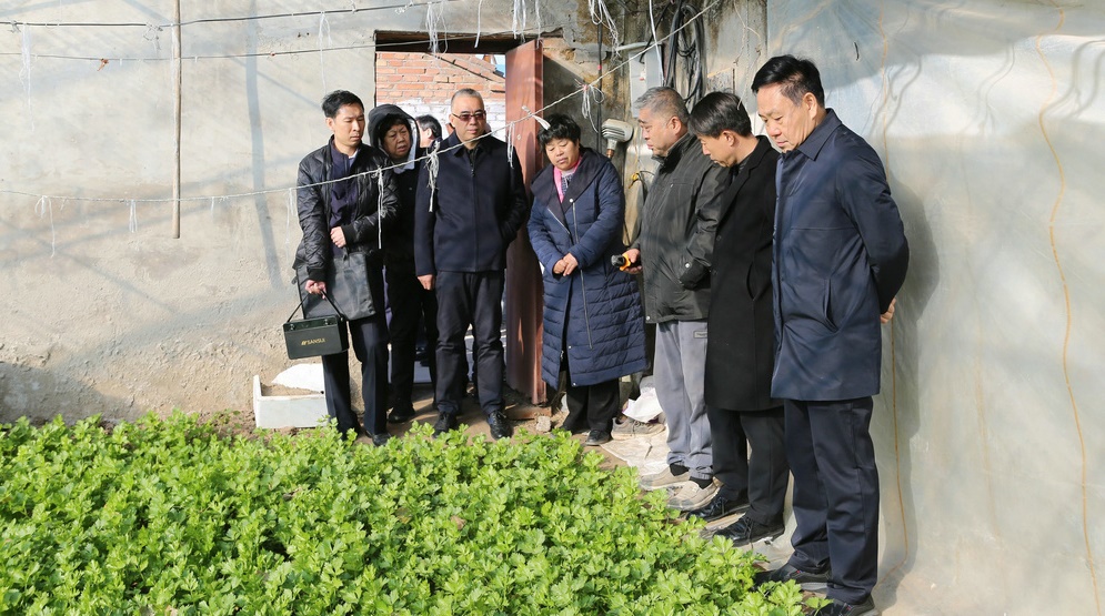 区政协赴于家务回族乡、张家湾镇开展“政协委员进乡村 建言献策助振兴”专项调研活动