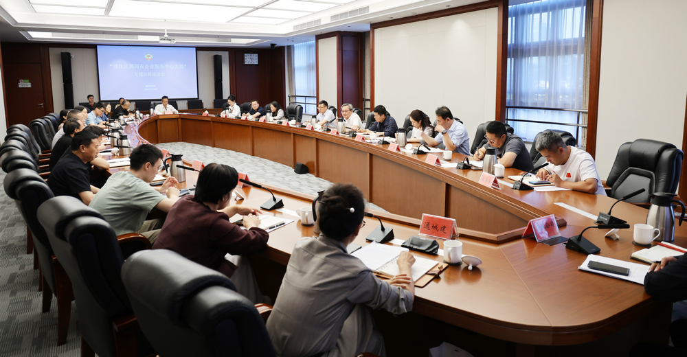 区政协开展“强化区属国有企业服务中心大局”专题...