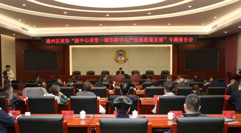 区政协举办城市副中...