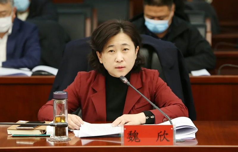 区政协召开关于推进城市副中心特色小镇建设打造城乡融